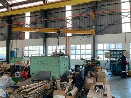 Swing arm hoisting crane